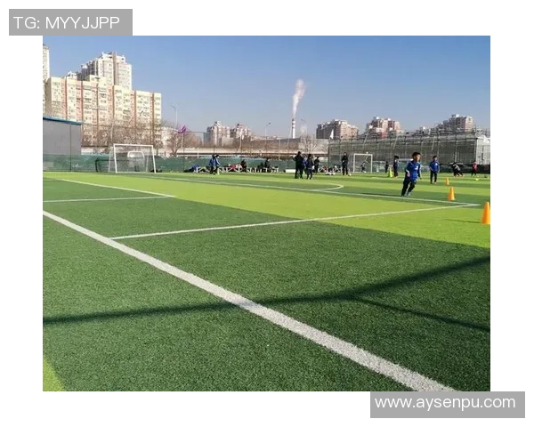 全场奔跑的足球明星们如何在绿茵场上展现无与伦比的速度与激情 全场奔跑的足球明星们如何在绿茵场上展现无与伦比的速度与激情